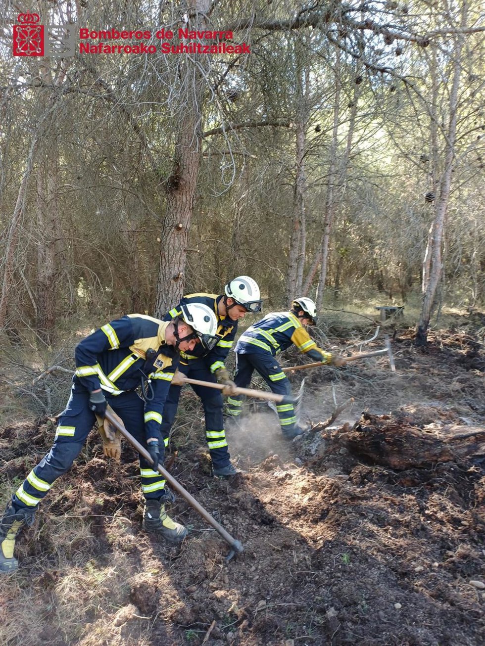 Bomberos trabajando sobre el terreno para extinguir el incendio forestal de Carcastillo.