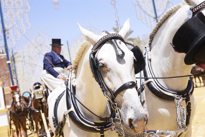 Archivo - Detalle de un caballo durante la Feria de Jerez de la Frontera, a 13 de mayo de 2022 en Cádiz (Andalucía, España)