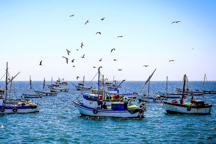 Perú.- Scotiabank destina línea de US $150 millones para el sector pesca y agrícola ante El Niño