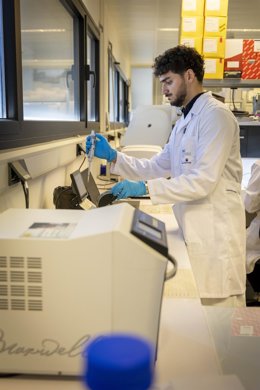 Archivo - Imagen del Instituto Maimónides de Investigación Biomédica de Córdoba (Imibic).