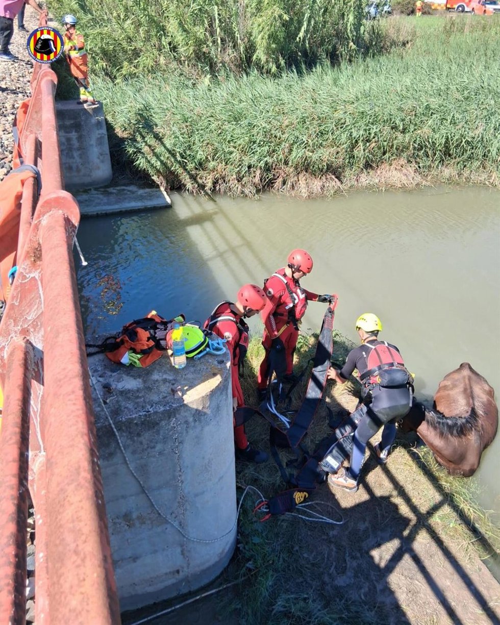Rescate del caballo