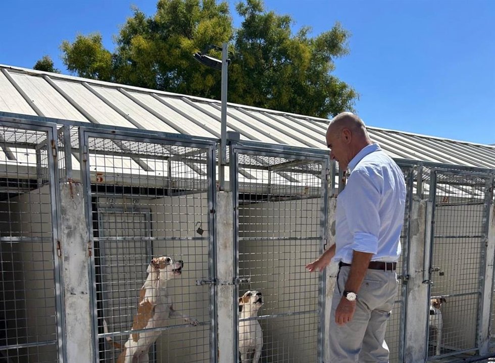 El portavoz del Grupo Municipal Socialista y candidato a la Alcaldía de Sevilla, Antonio Muñoz, en el Zoosanitario