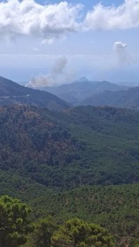Declarado un incendio en el paraje Ermita del Rosario de Benahavís (Málaga) que moviliza a cuatro medios aéreos