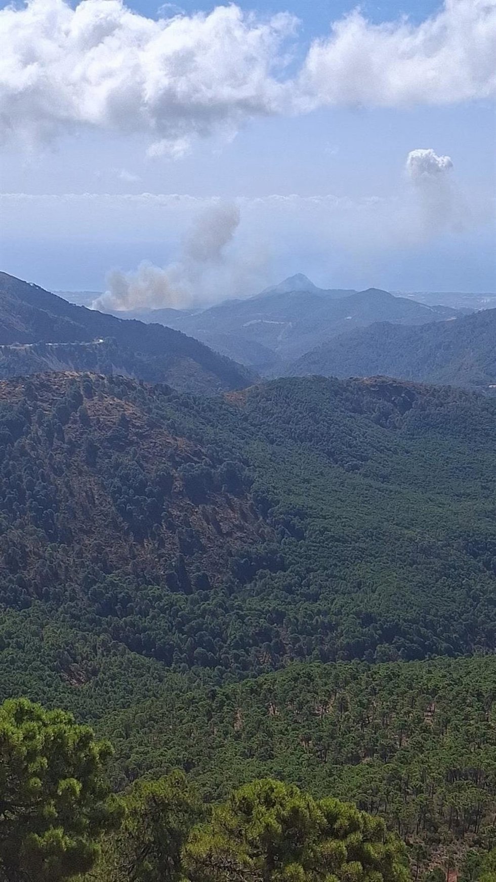 Incendio declarado en Benahavís (Málaga) el 13 de septiembre.