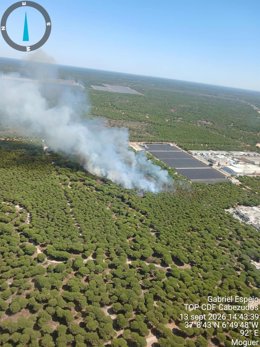 Incendio forestal declarado en el paraje Mazagón-Barriada San José de Moguer el domingo, 13 de septiembre.