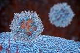 Foto: Desarrollan unas nanopartículas lipídicas que modifican el entorno del tumor desde el interior