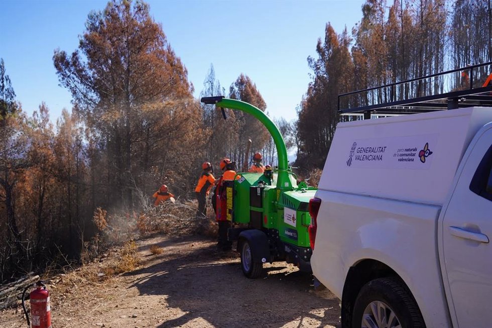 Trabajos postincendio en la Calderona