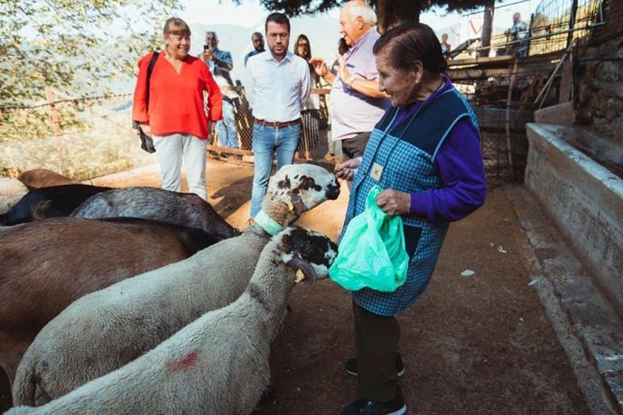Archivo - La pastora en actiu més longeva de Catalunya, Marina Vilalta