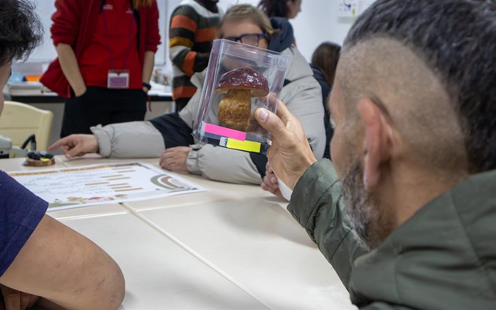 Abre la nueva convocatoria de los programas de ciencia inclusiva del Jardín Botánico para el curso 2027-2028.