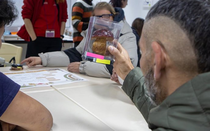 Abre la nueva convocatoria de los programas de ciencia inclusiva del Jardín Botánico para el curso 2027-2028.