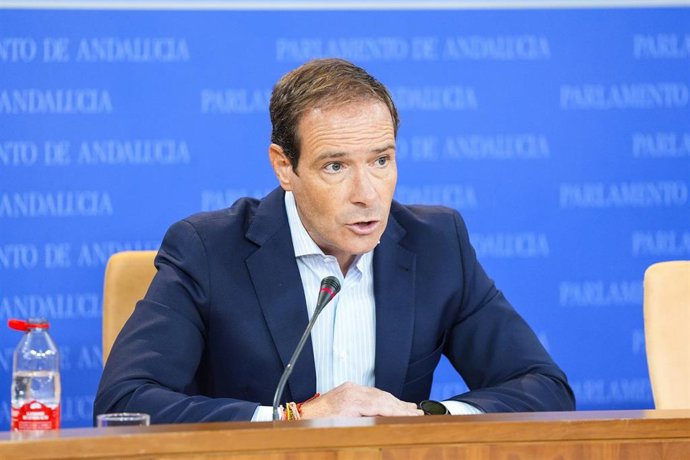 El portavoz del grupo parlamentario Vox, Javier Cortés