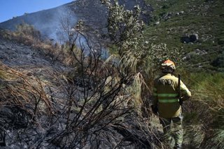 Un efectivo de Infoex en el incendio de Tornavacas.