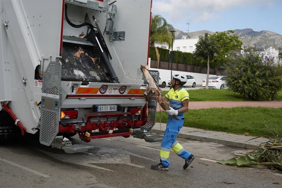 Un operario de limpieza retira los restos de una palmera en una vía de Torremolinos
