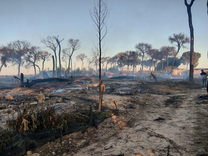 Un incendio calcina 50 chabolas de un asentamiento de Lucena del Puerto (Huelva)