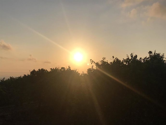 Archivo - Amanecer en la Comunitat