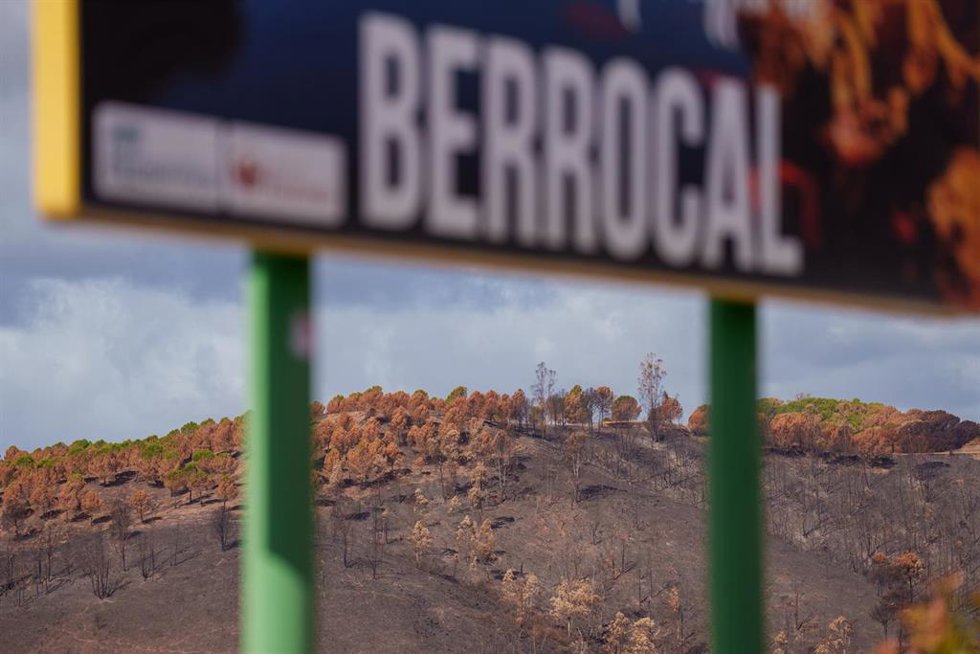 Entorno desolado por el incendio de Niebla en El Berrocal. 