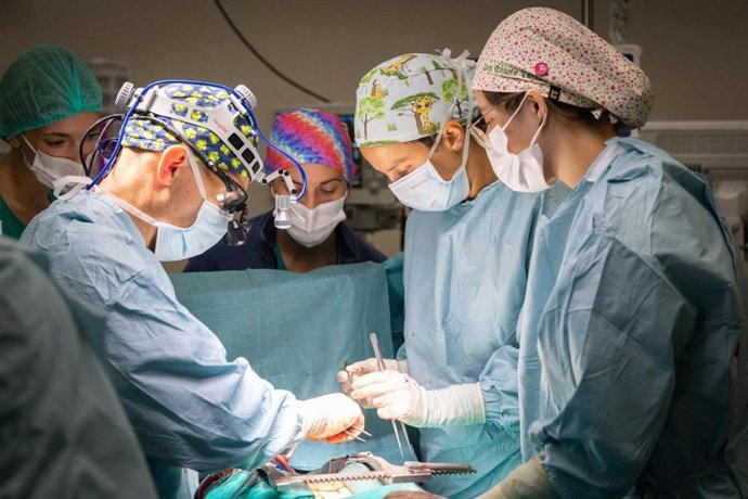 Profesionales sanitarios realizan una intervención en el Hospital Universitario Regional de Málaga