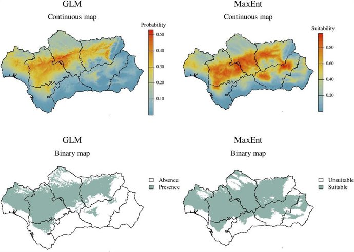 Mapas con la expansión del hongo del suelo causante de la verticilosis, una de las enfermedades más importantes del olivar andaluz y que más pérdidas de producción causa.
