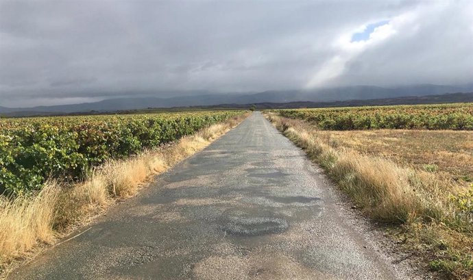 Archivo - Camino entre Cordovín y Canillas de Río Tuerto 