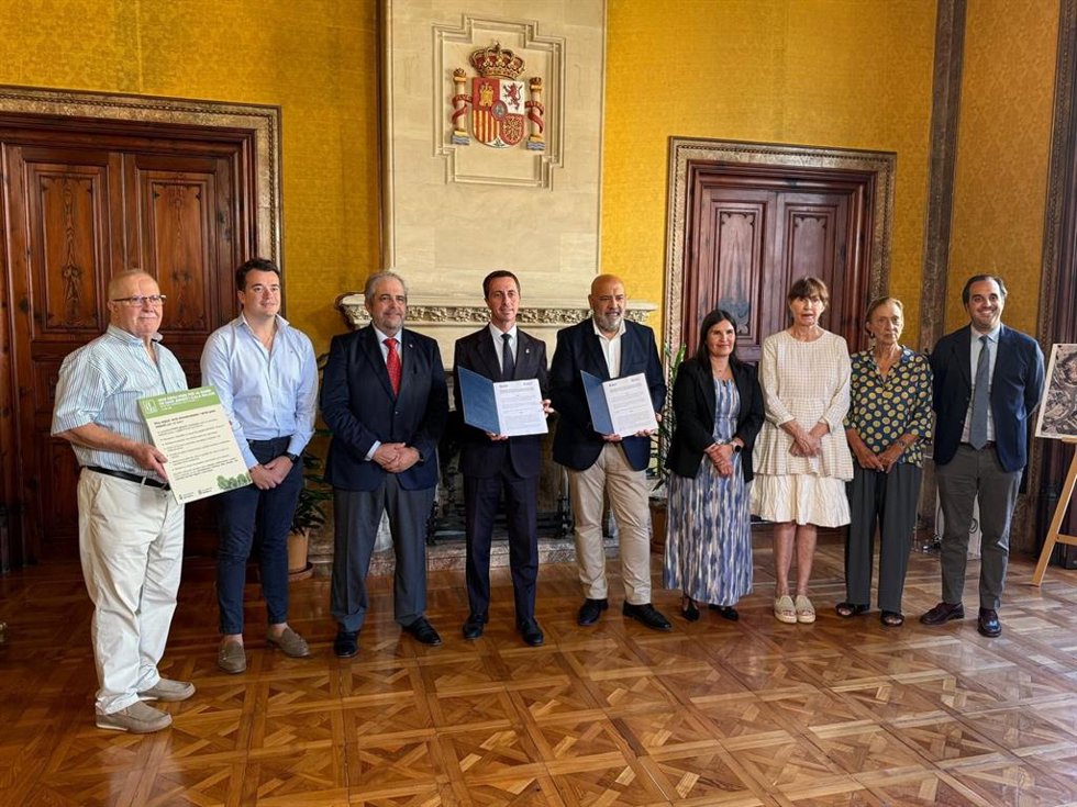 Consell y Cort crearán un nuevo espacio verde en Cala Major para recuperar una zona "deteriorada y sin uso"
