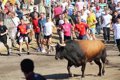 'Campanito' protagoniza un Toro de la Vega rápido y sin incidentes ante unos 25.000 asistentes