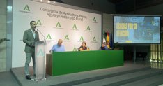 Es Andalucía - Sevilla