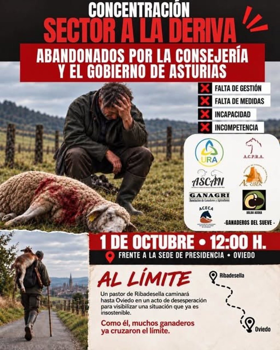 Cartel de la concentración
