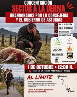 Cartel de la concentración