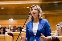 El PP aprueba en el Senado sus reivindicaciones para Ceuta: Seguridad Nacional, agentes de autoridad y retornos