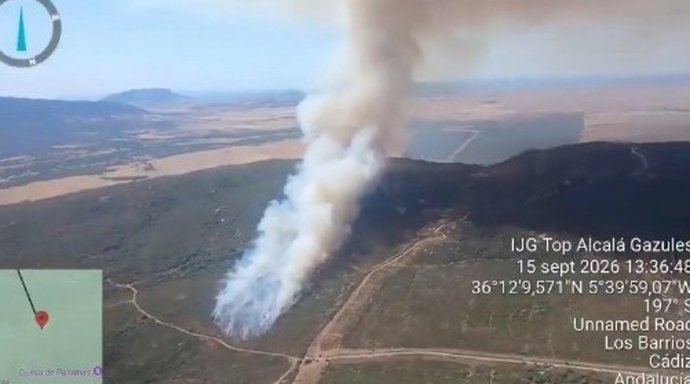 Vista del incendio en un paraje de Los Barrios (Cádiz) desde uno de los aviones del Plan Infoca