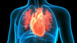 Archivo - Imagen de recurso de un corazón. 