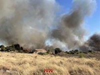 L'incendi d'Alfarràs (Lleida) obliga a confinar 240 persones d'Andaní i granges de la zona