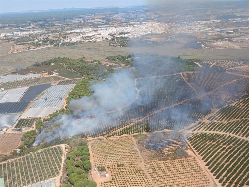 Incendio forestal declarado este martes en Cartaya (Huelva).