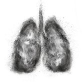 Foto: Las enfermedades respiratorias causaron 1,28 millones de muertes en Europa en 2023, según la IRC
