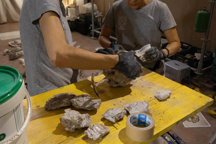 Especialistas en labores de reconstrucción de elementos arquitectónicos y decorativos de la capilla de la Expectación de Córdoba.