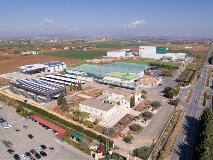 Archivo - Dcoop en Antequera (Málaga).
