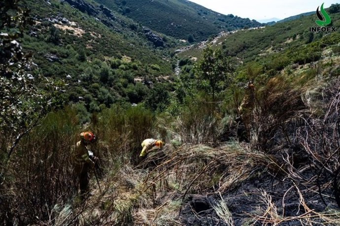 Labores de extinción del incendio forestal en Tornavacas (Cáceres)