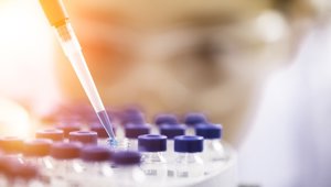 Investigación