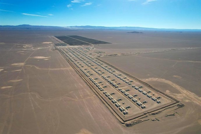 Archivo - Planta Elena en Oasis de Atacama