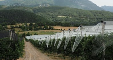 EpAgro - Agricultura