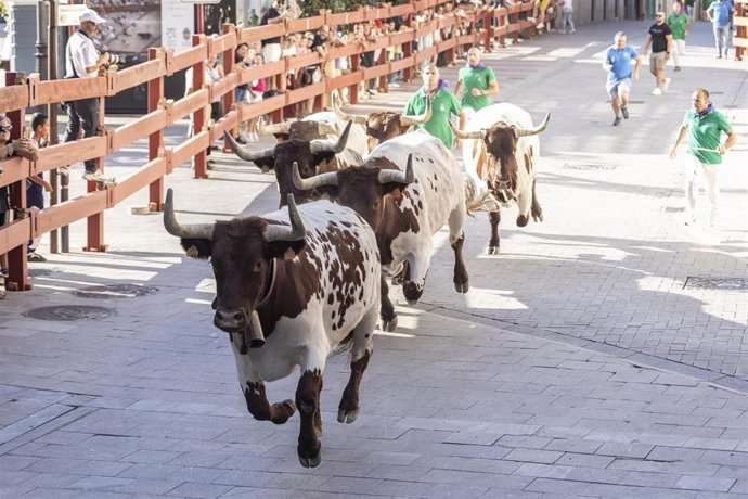 Encierros en Guadalajara