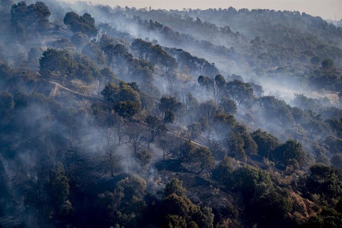 Vista del paisaje ardiendo, a 19 de agosto de 2026, en Aldea del Fresno, Madrid (España). Un nuevo incendio forestal en Sierra Oeste de Madrid, localizado en Aldea del Fresno a las 14.30 horas, está obligando a confinar esta localidad y Villamantilla. El 