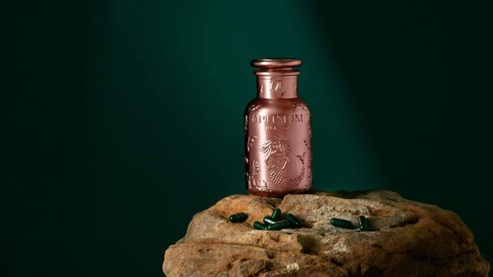 Hifas da Terra invita a usar hongos medicinales para recuperar el equilibrio con el cambio de estación