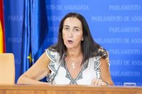 Vox asegura que "ni un solo euro de dinero público" se destinará a enseñar lengua árabe en colegios andaluces