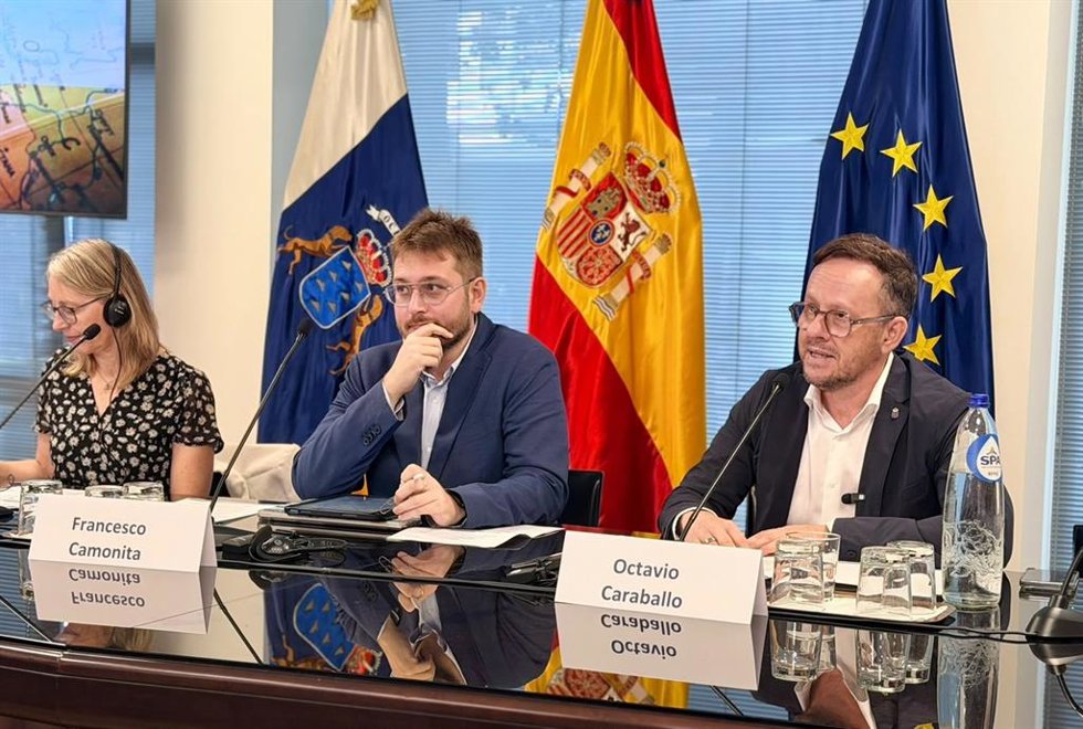 El viceconsejero del Gabinete de la Presidencia, Octavio Caraballo durante una sesión del Grupo de Trabajo de Migraciones de la Conferencia de Regiones Periféricas y Marítimas (CRPM)