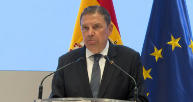 Vídeos