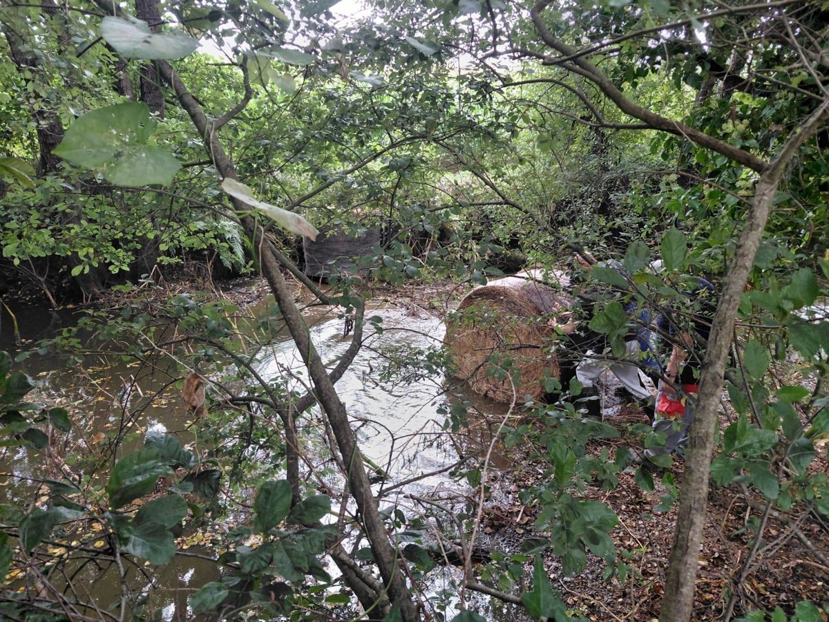 Santiago elimina riegos y baldeos e insta a limitar el consumo de agua tras el vertido de purín en Tordoia