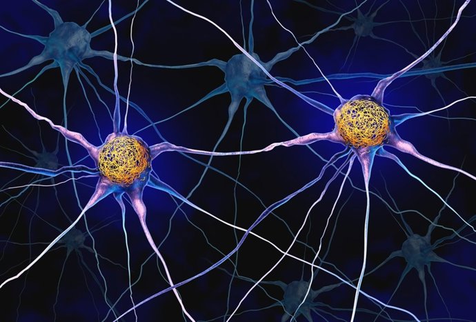 Conexiones neuronales
