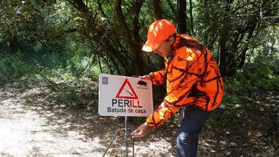 Un trabajador coloca un cartel para avisar de una batida de caza de jabalíes