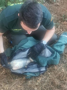 Un agente de la Guardia Civil libera a un gato atrapado en una botella de plástico.